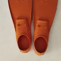 فین شنا