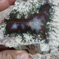 سنگ راف شجر منظره