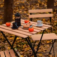 میز و صندلی تاشو چوبی راش با ضمانت کتبی جنس وقیمت