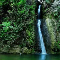 طبیعت گردی
