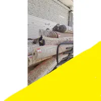 قالیشوی ملایری(پاکدشت)