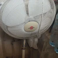 پنکه
