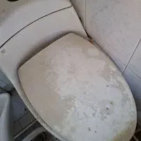 دو عدد توالت فرنگی و یک سرشو
