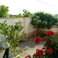 فروش-زمین-210متری-مسکونی-سندداردرانزلی-طالب-اباد
