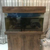 آکواریوم ۱ متری شیشه خم MDF نو