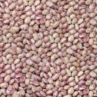 لوبیا چیتی دستچین