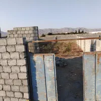 فروشی-باغ-محصول-بادام