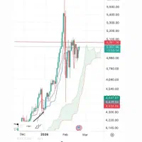 استخدام ادمین