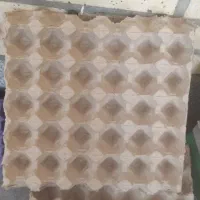 تولیدی شانه تخم مرغ