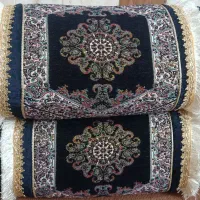جلد  بشتی