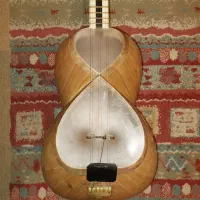 تار حرفه ای میثم علیاری