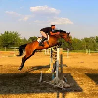 خرید و فروش اسب های ورزشی