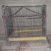 قفس پرنده
