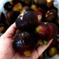 میوه انجیر