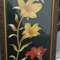 قاب عکس