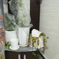جاکفشی آینه دار