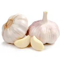 فروش سیر محلی تمیز کرده و با پوست