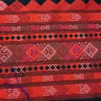 زه استین پذیرفته میشود همه مدل لباس هم