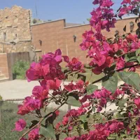 اجاره روزانه/هفتگی/ماهانه آپارتمان ۳۵۰ متری