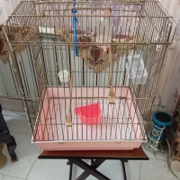 قفس پرنده