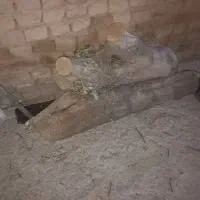 تیر خشک وخیس