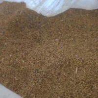 فروش بذر یونجه درجه یک