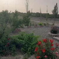باغچه شهرکی تهران دشت کرج کمالشهرتنکمان