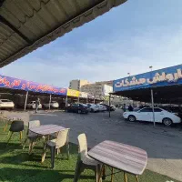 نیرو کارواش کار حرفه ای با درآمد بالا