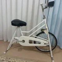 دوچرخه ثابت