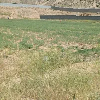 فروش 3000متر زمین در سیدان شهرک صنعتی