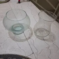 تنگ سالم و تمیز