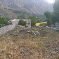زمین در لاریجان منطقه امیری روستای ترا