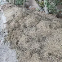کود گوسفندی خالص