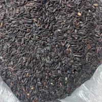 تخم شربتی