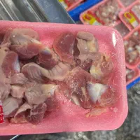 سنگدان گرم بسته بندی