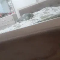 تختخواب دونفره