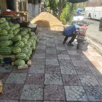 شاگرد میوه و تره بار
