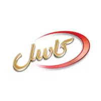 استخدام سرپرست فروش مویرگی در یک شرکت معتبر