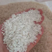 فروش انواع برنج و حبوبات و ادویه با بهترین کیفیت