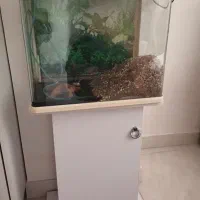 اگواریم شیشه خم کمد دار با وسایل داخلش فوری فروشی