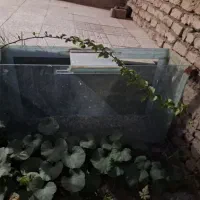 آکواریوم