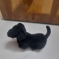 سگ اسباب بازی