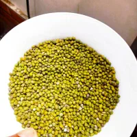 ماش درجه یک خوزستان تازه زود پخت