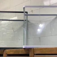 ماهی|ماهی|تربتحیدریه, حسنی بالا|دیوار