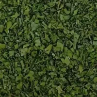 تره اصل سردسیر