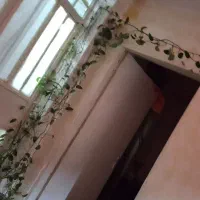 پیجک