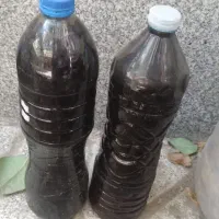 شیره انگور