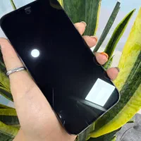 ۱۲ مکس بدون دستکاری گل گلاب