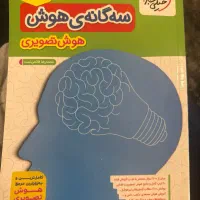 هوش سه گانه تصویری