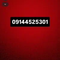 09144525301